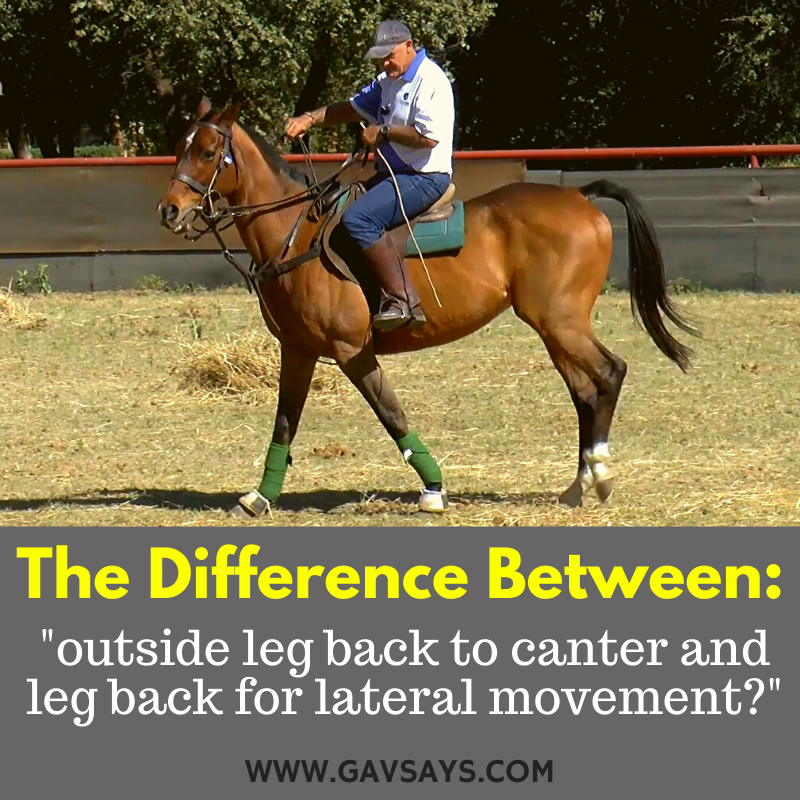 Leg Yielding: Using Legs And Hands Together