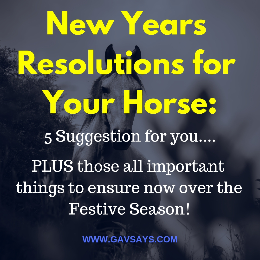 New Years Resolutions for Your Horse: 5 Brilliant Suggestions