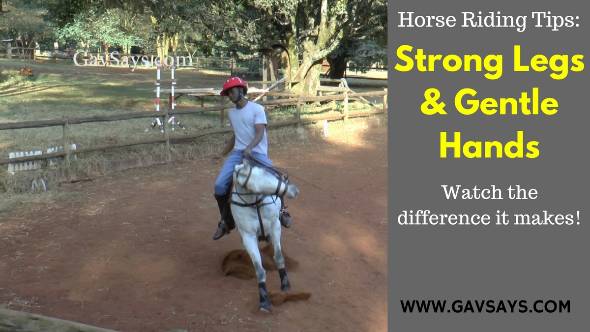 Here's the difference that strong legs and gentle hands makes when riding a horse.